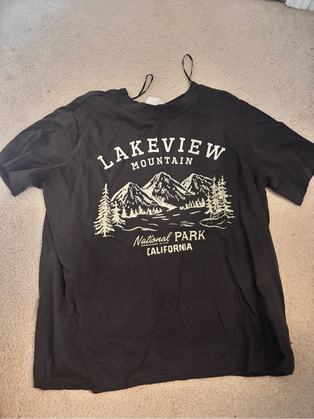 H&M Black Lakeview Mountain Graphic Tee